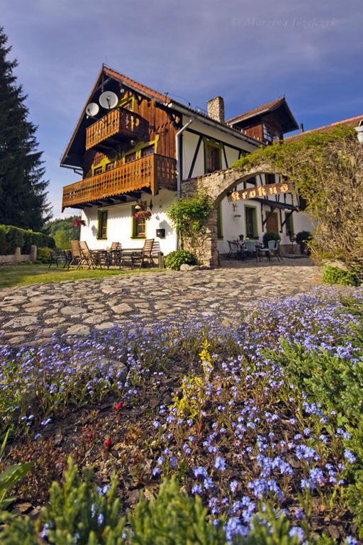 Willa Krokus Miedzygorze Exterior photo
